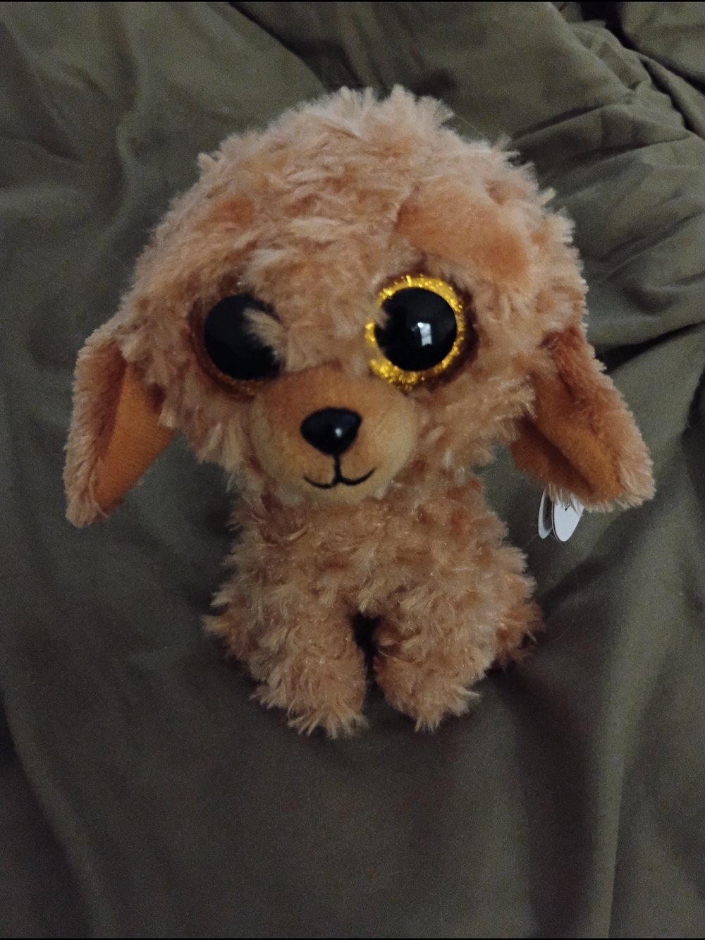 Ty Tan Curly Plush Puppy with Gold-Trim Eyes